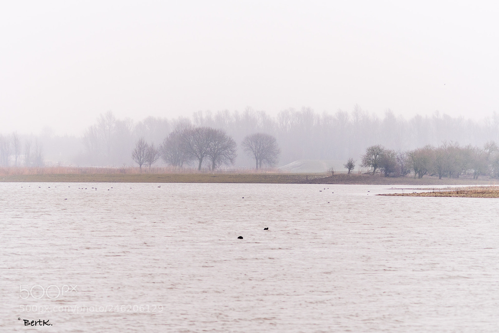 Nikon D500 sample photo. A cold, grey and photography