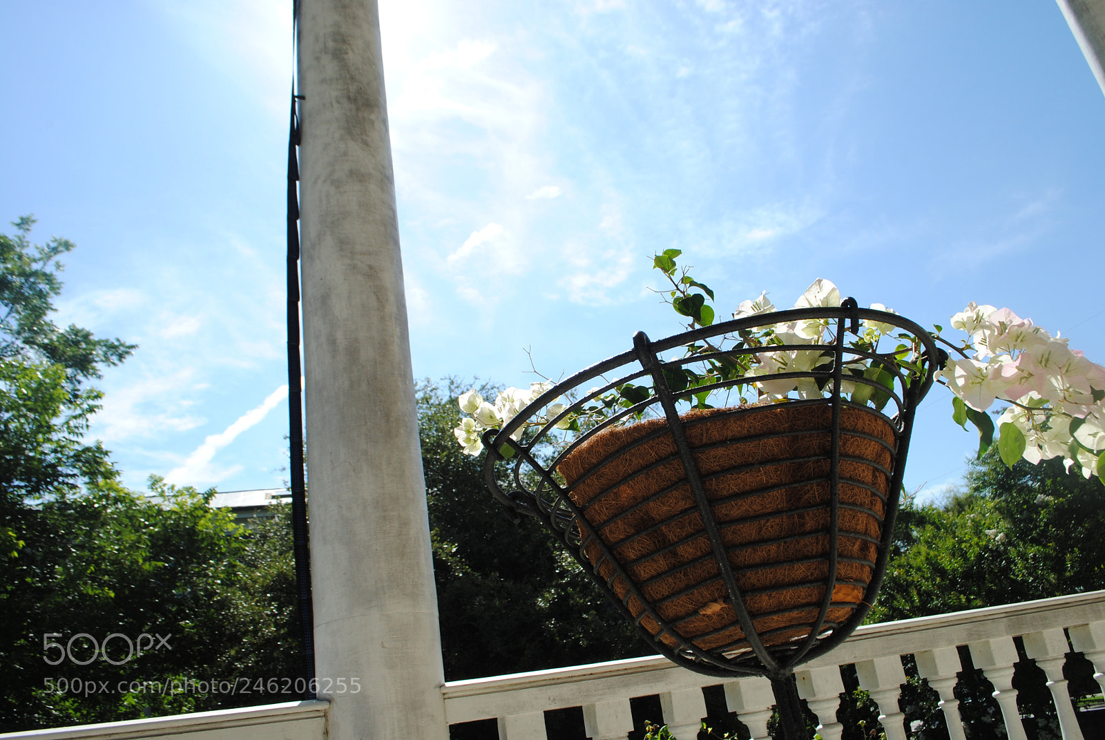 Nikon D3000 sample photo. Sunny day photography