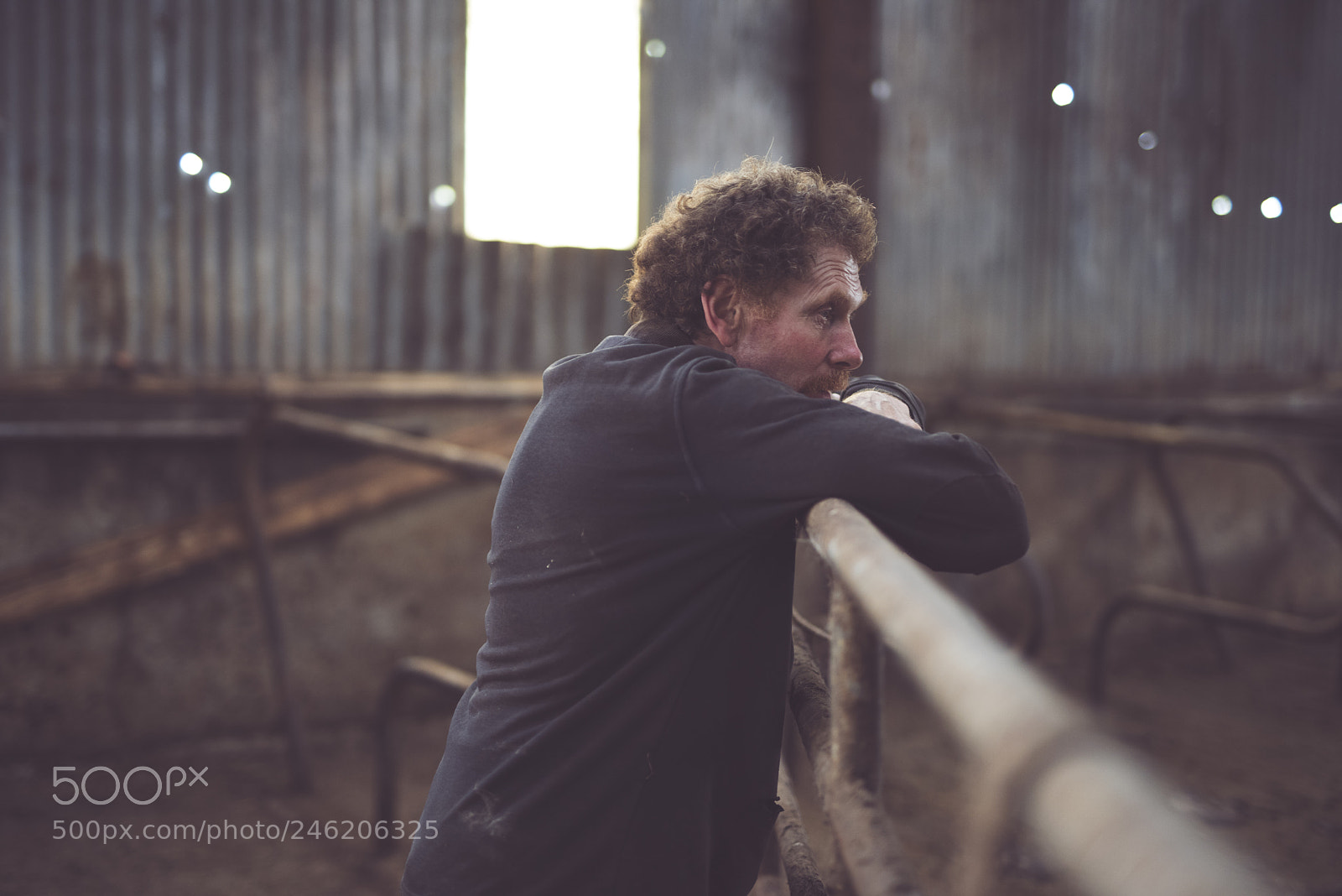 Nikon D810 sample photo. Farmer contemplating life photography