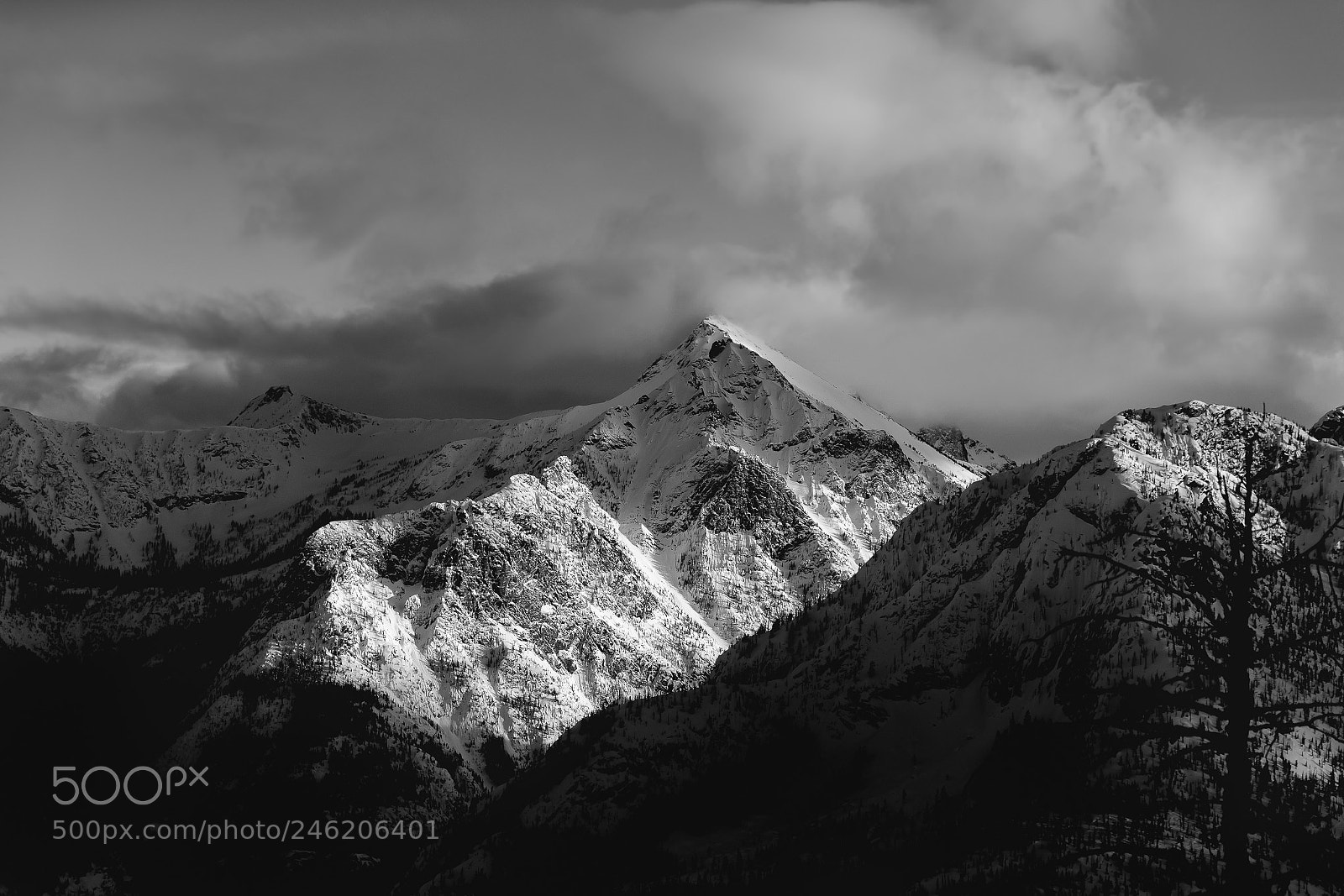 Canon EOS-1D X sample photo. Last light black & white photography