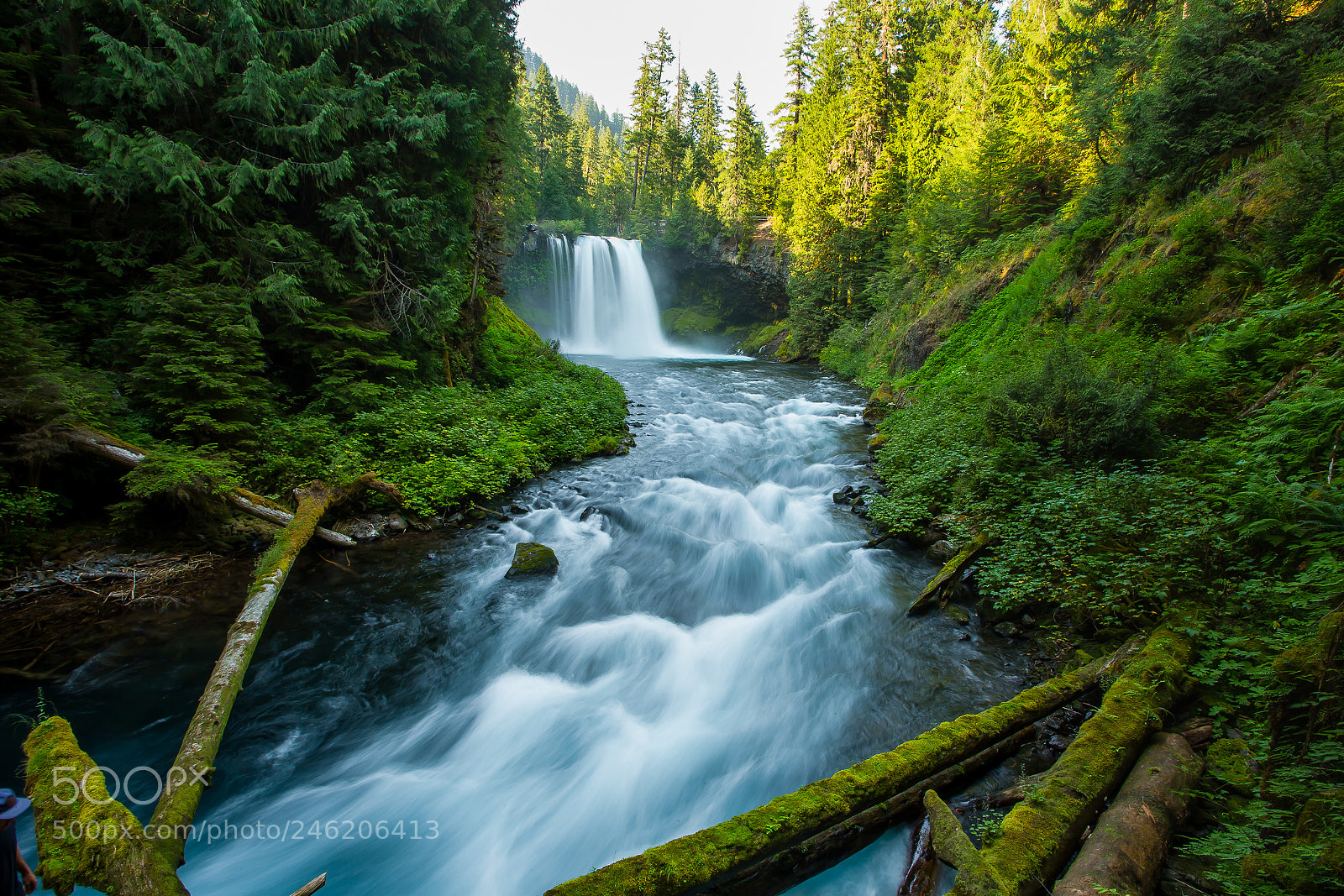 Canon EOS-1D X sample photo. Koosah falls photography