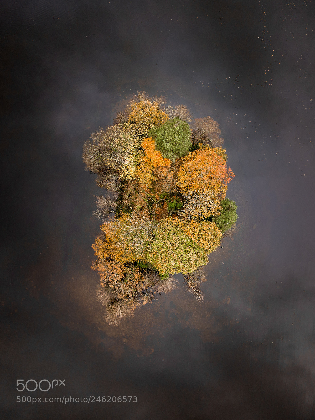 DJI FC220 sample photo. Rydal water colours #2! photography