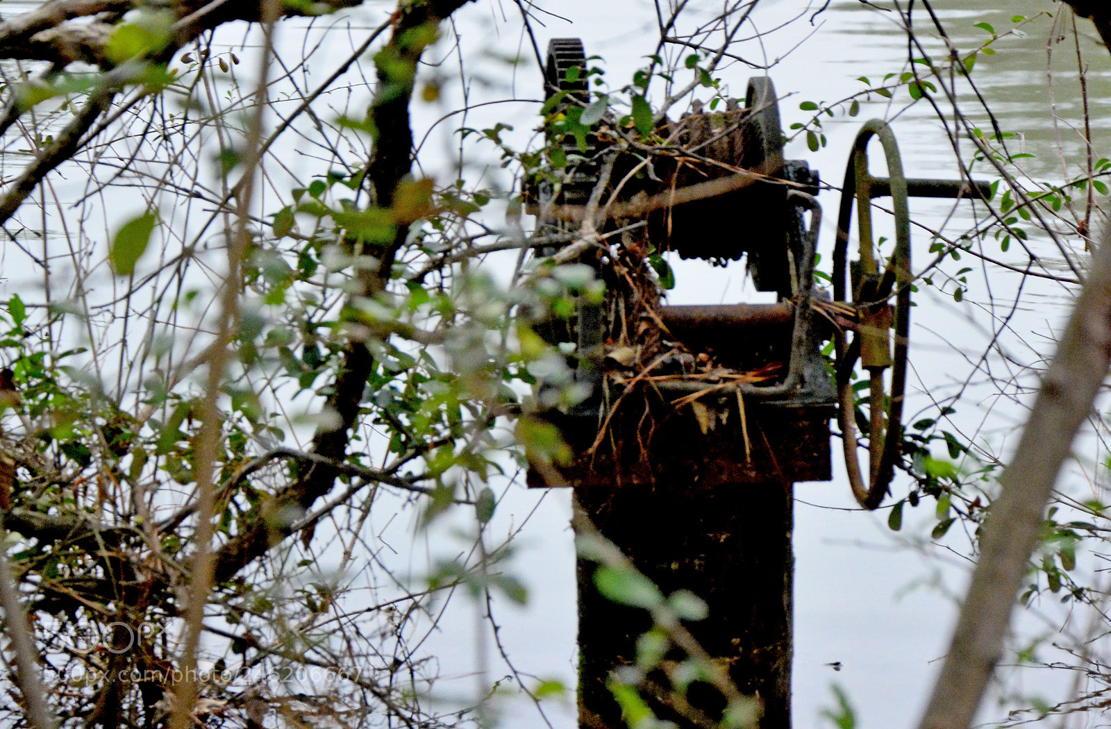 Nikon D7100 sample photo. Overgrown winch photography