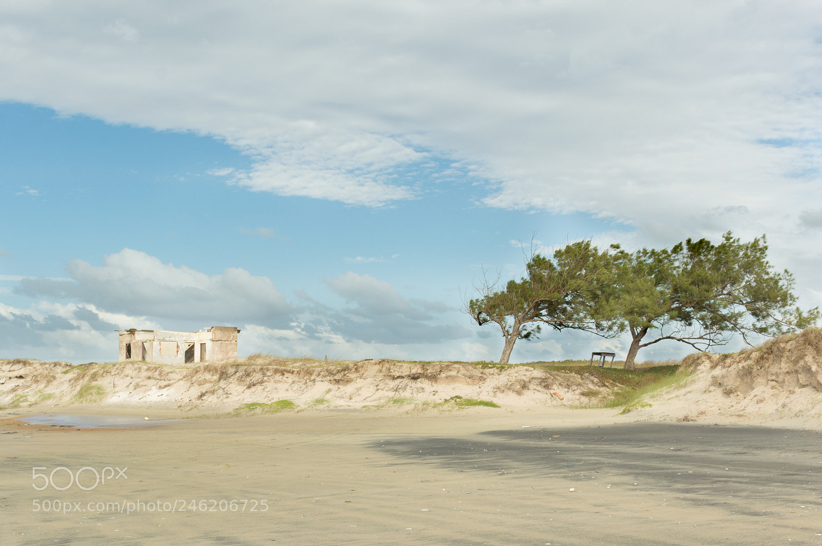 Nikon D3200 sample photo. Windy photography