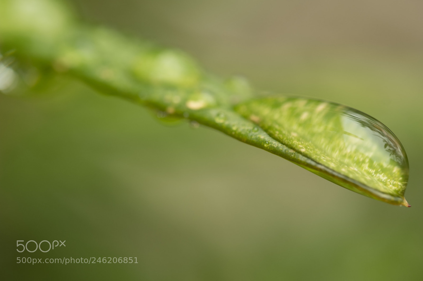 Fujifilm X-T2 sample photo. Drop photography
