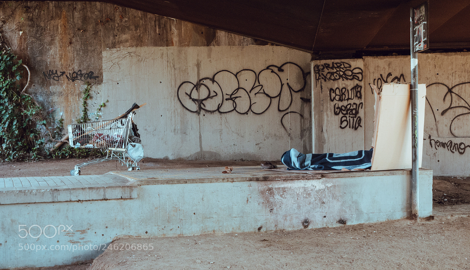 Olympus OM-D E-M10 sample photo. Home under a bridge photography