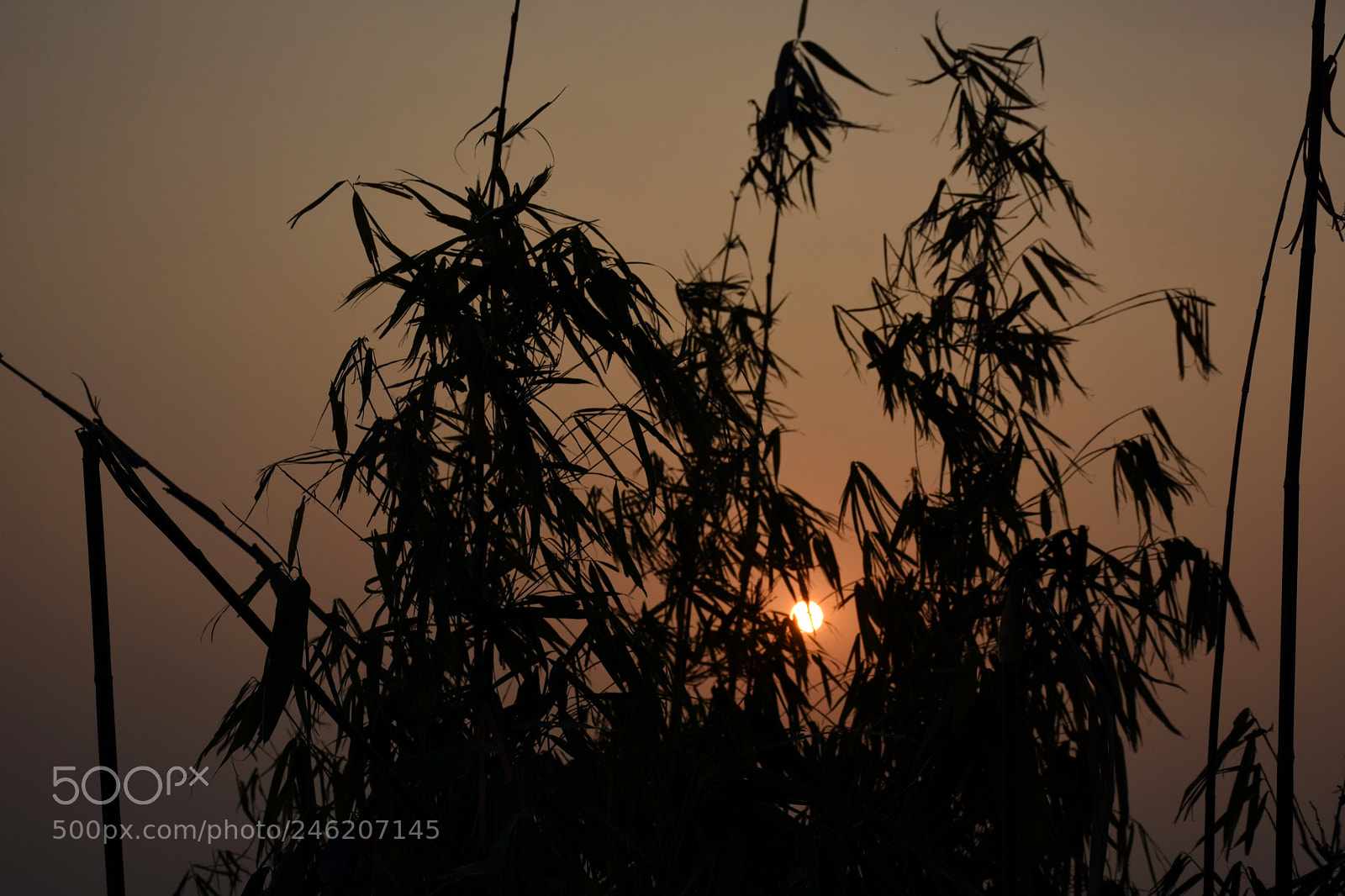 Nikon D7200 sample photo. Sunset photography