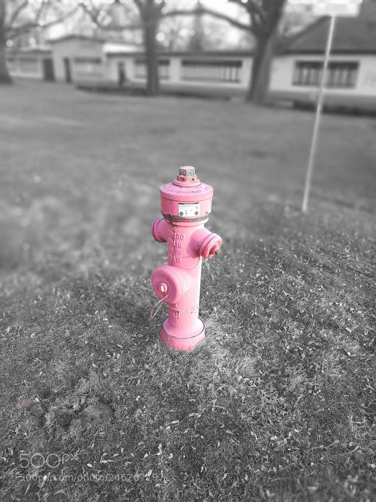 HUAWEI P9 sample photo. Untitled photography