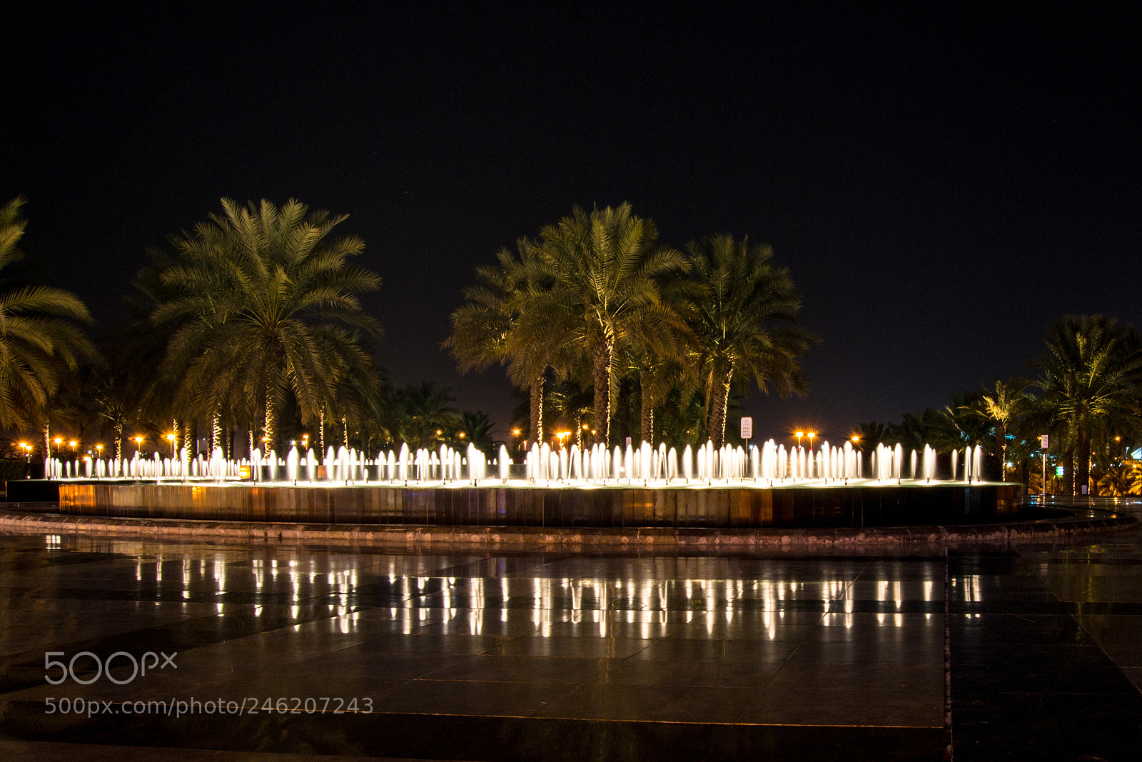 Nikon D3100 sample photo. Lighted fountain photography