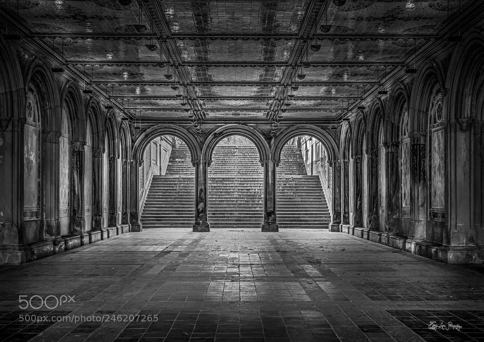Nikon D850 sample photo. Tunnel of bethesda fountain photography