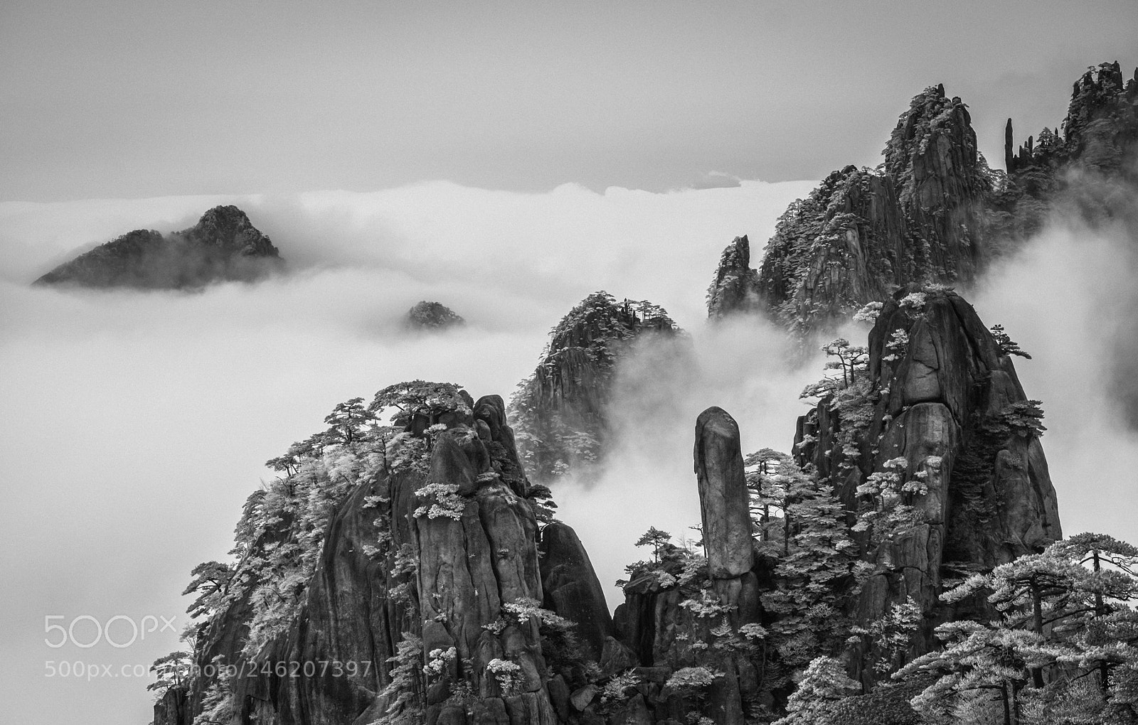 Fujifilm X-T1 sample photo. Yellow mountain photography