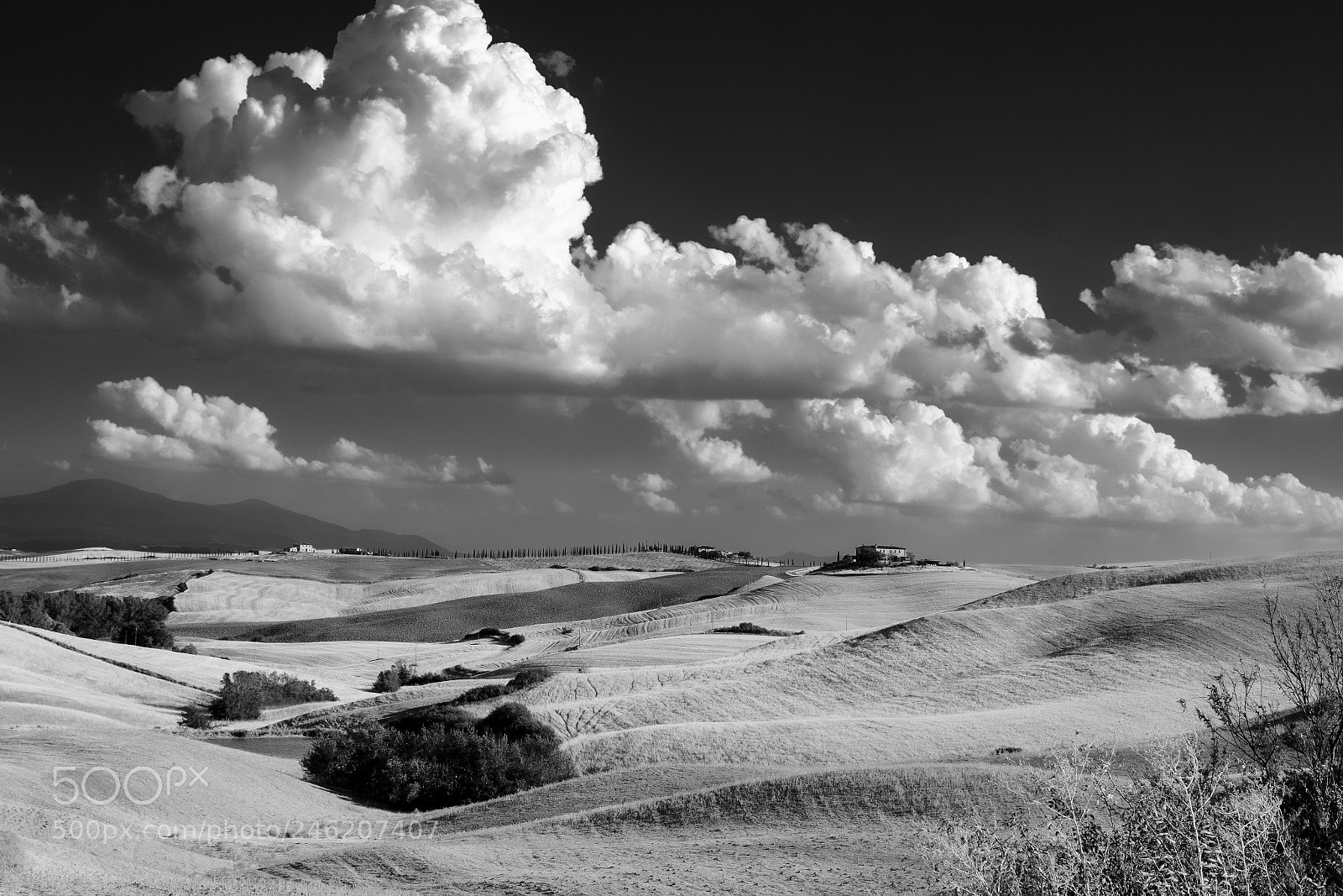 Fujifilm X-T2 sample photo. Summer landscape near asciano photography