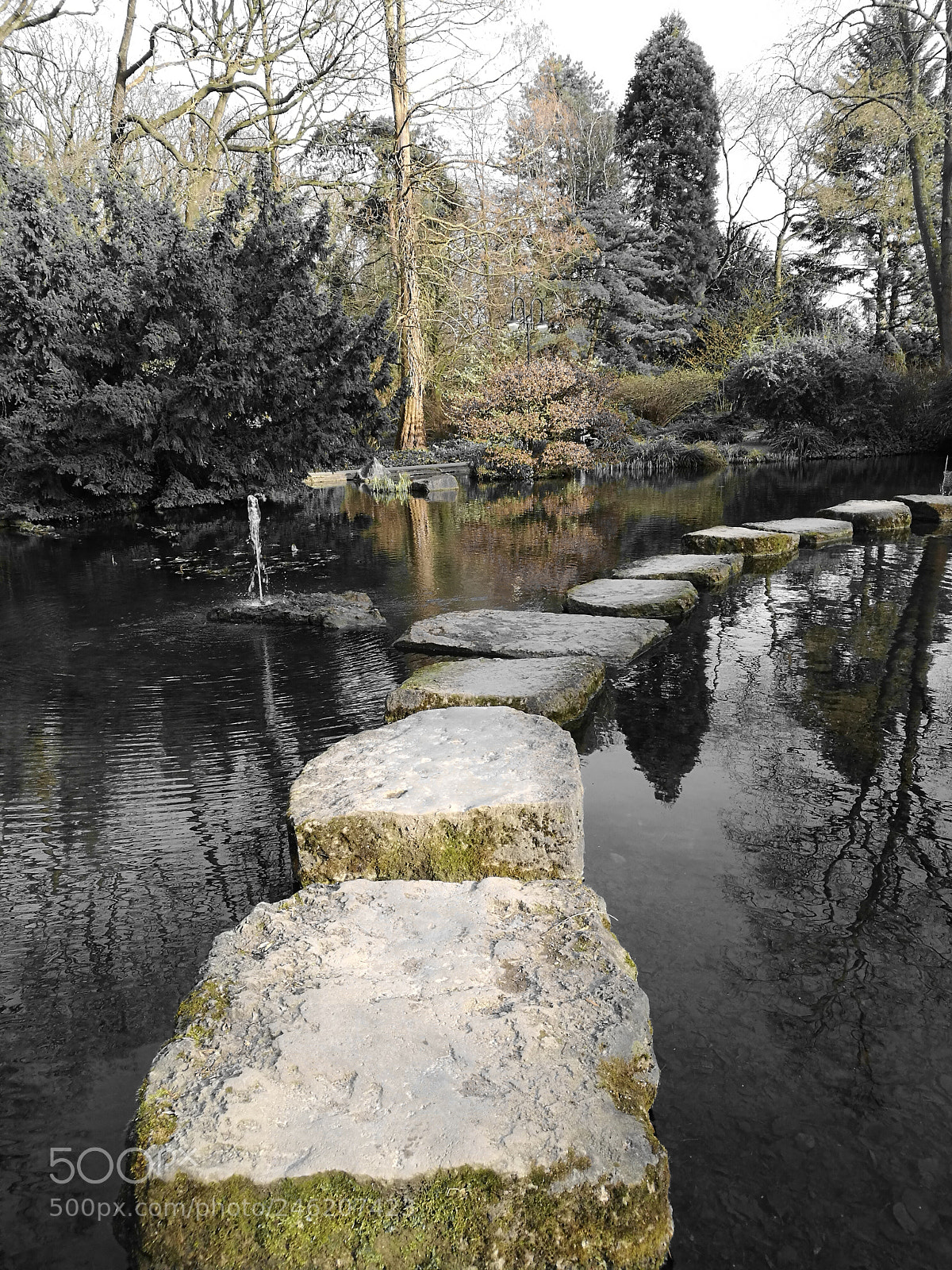 HUAWEI P9 sample photo. Untitled photography
