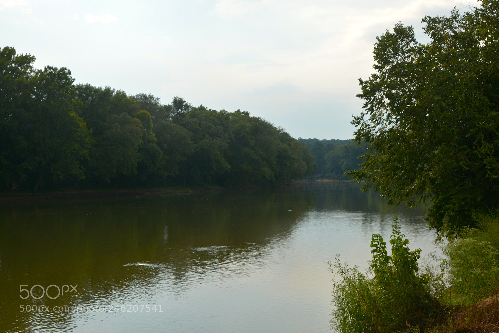 Nikon D7100 sample photo. A river runs through photography