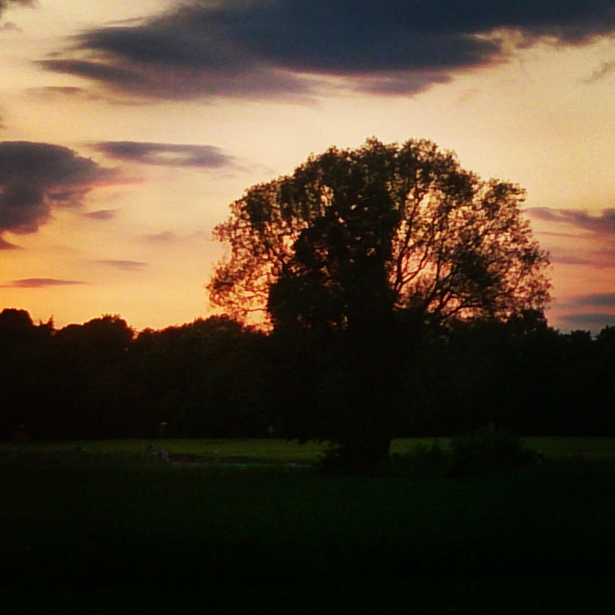 Sony Xperia Z sample photo. Abendstimmung photography