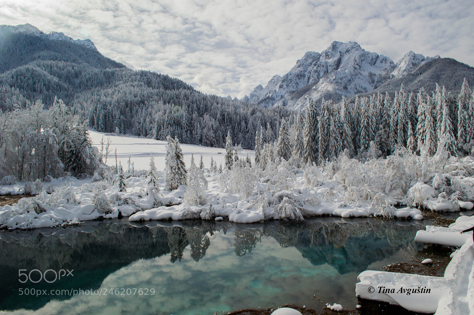 Nikon D3200 sample photo. Pure magic photography