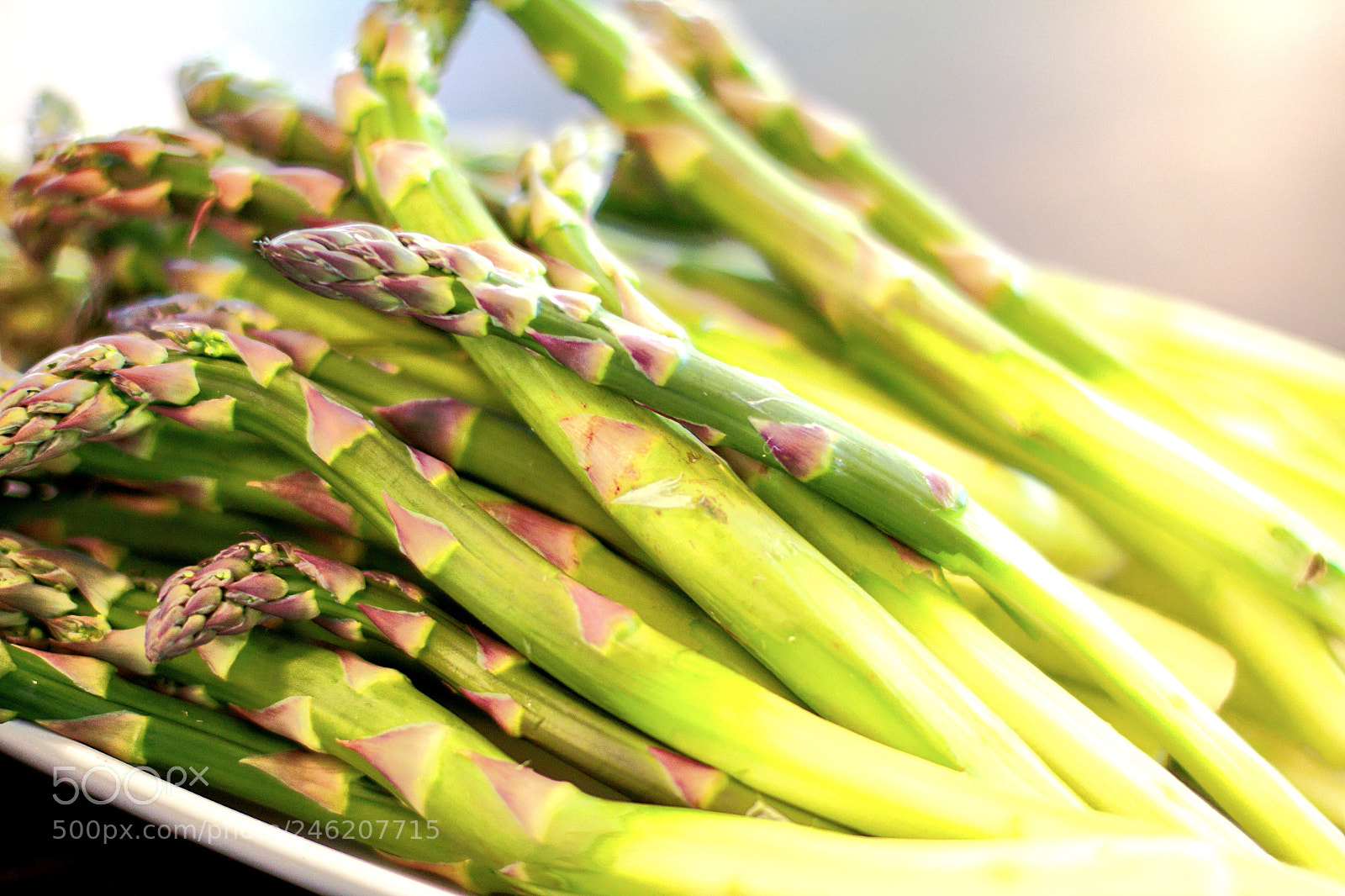Canon EOS 500D (EOS Rebel T1i / EOS Kiss X3) sample photo. Green asparagus photography