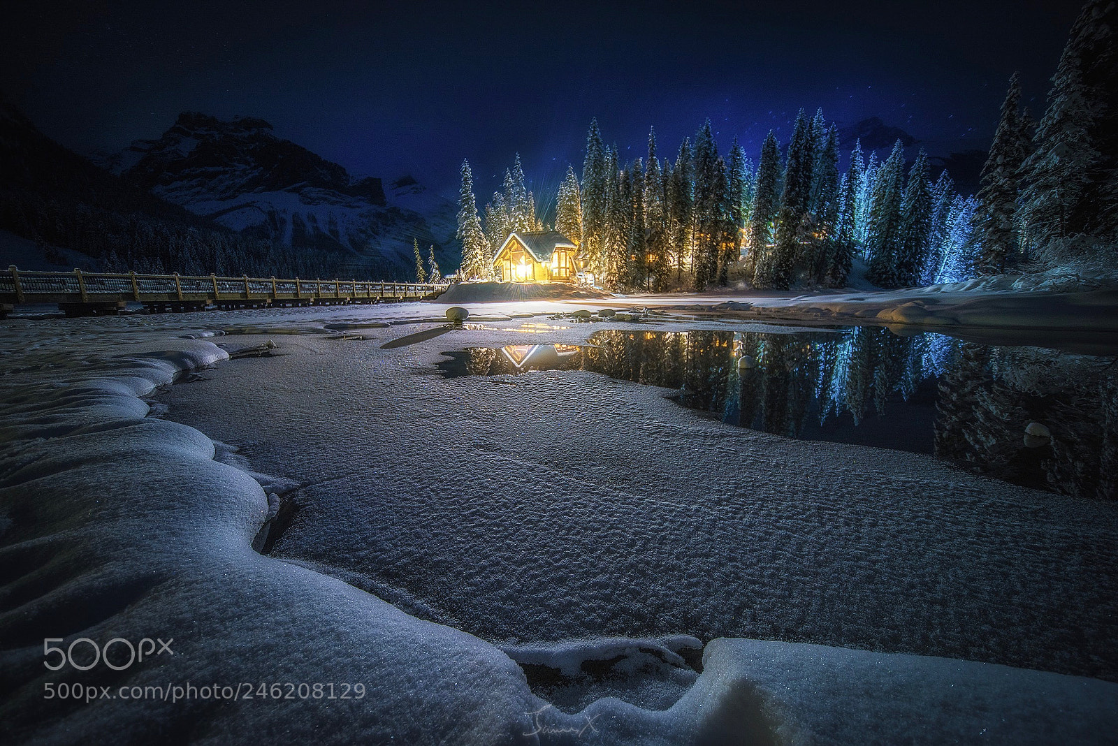 Nikon D810 sample photo. Magic winterland photography