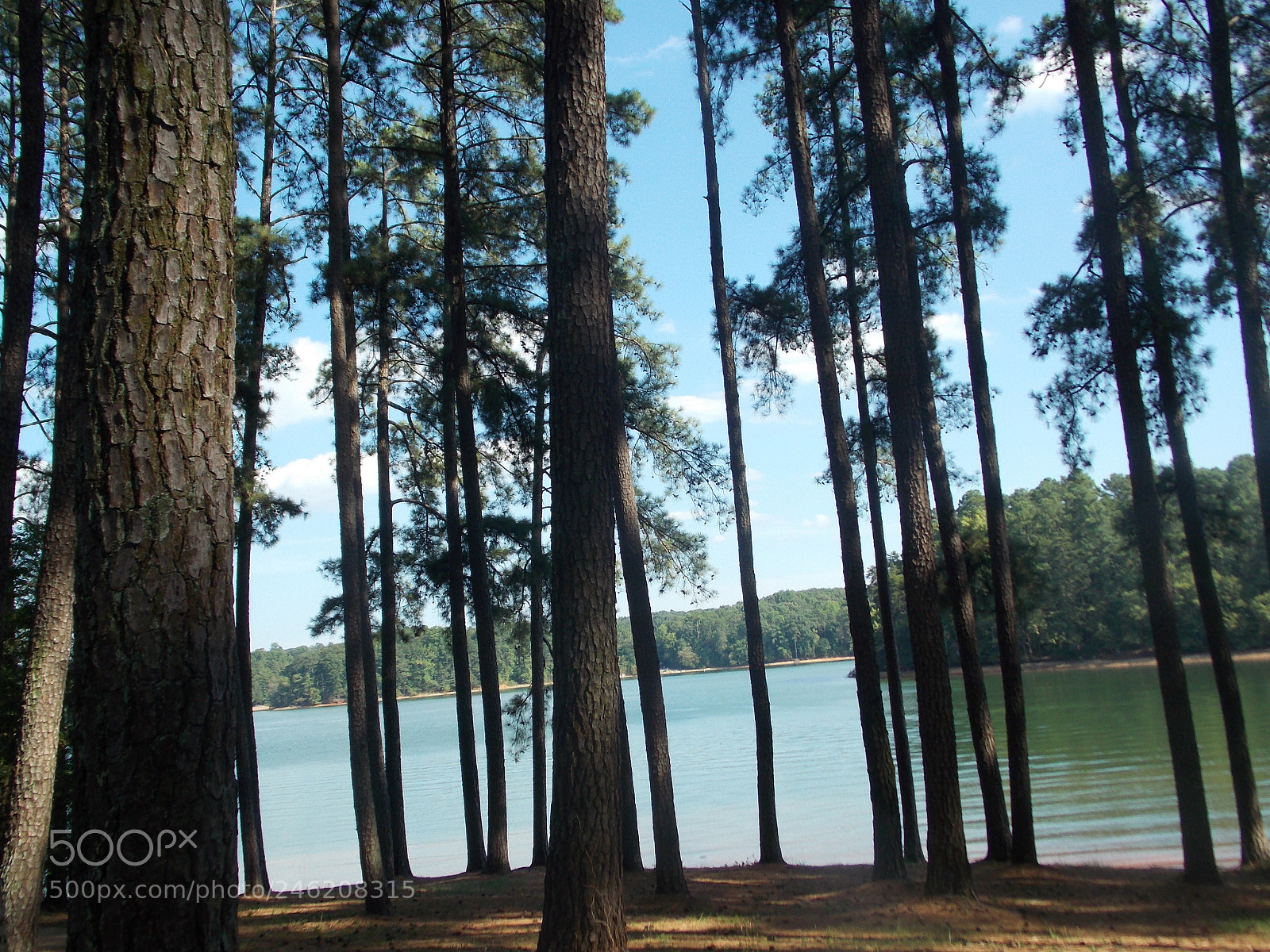 Nikon Coolpix L810 sample photo. South carolina rest area... photography