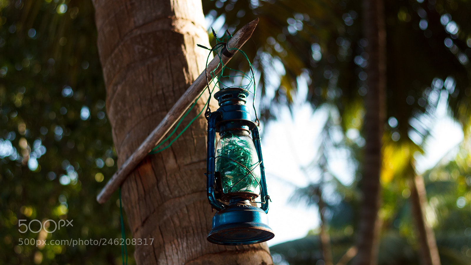 Canon EOS 600D (Rebel EOS T3i / EOS Kiss X5) sample photo. Lantern photography