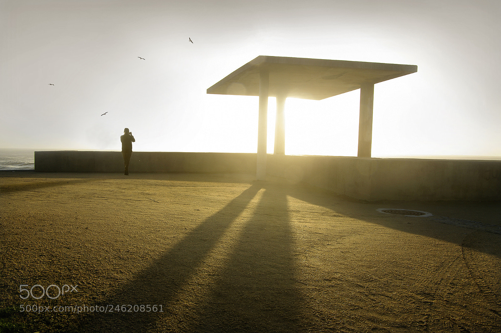 Pentax K20D sample photo. Light and shadows photography