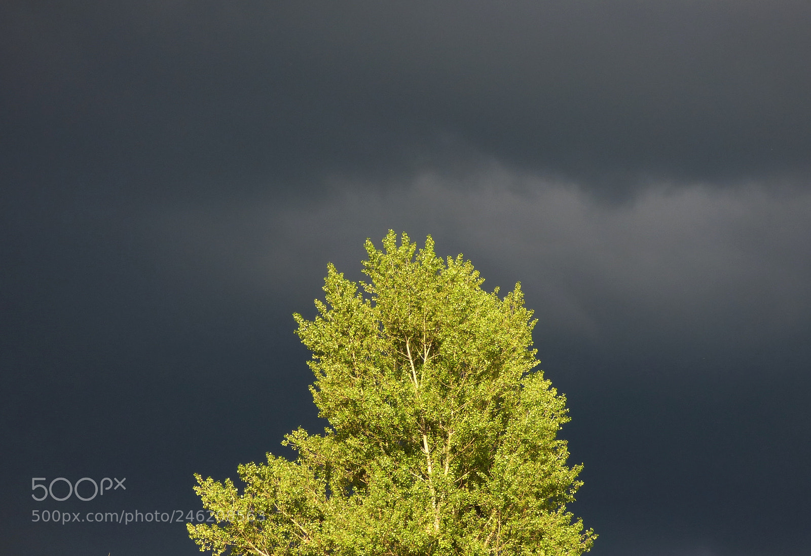 Panasonic DMC-FZ72 sample photo. Storm photography