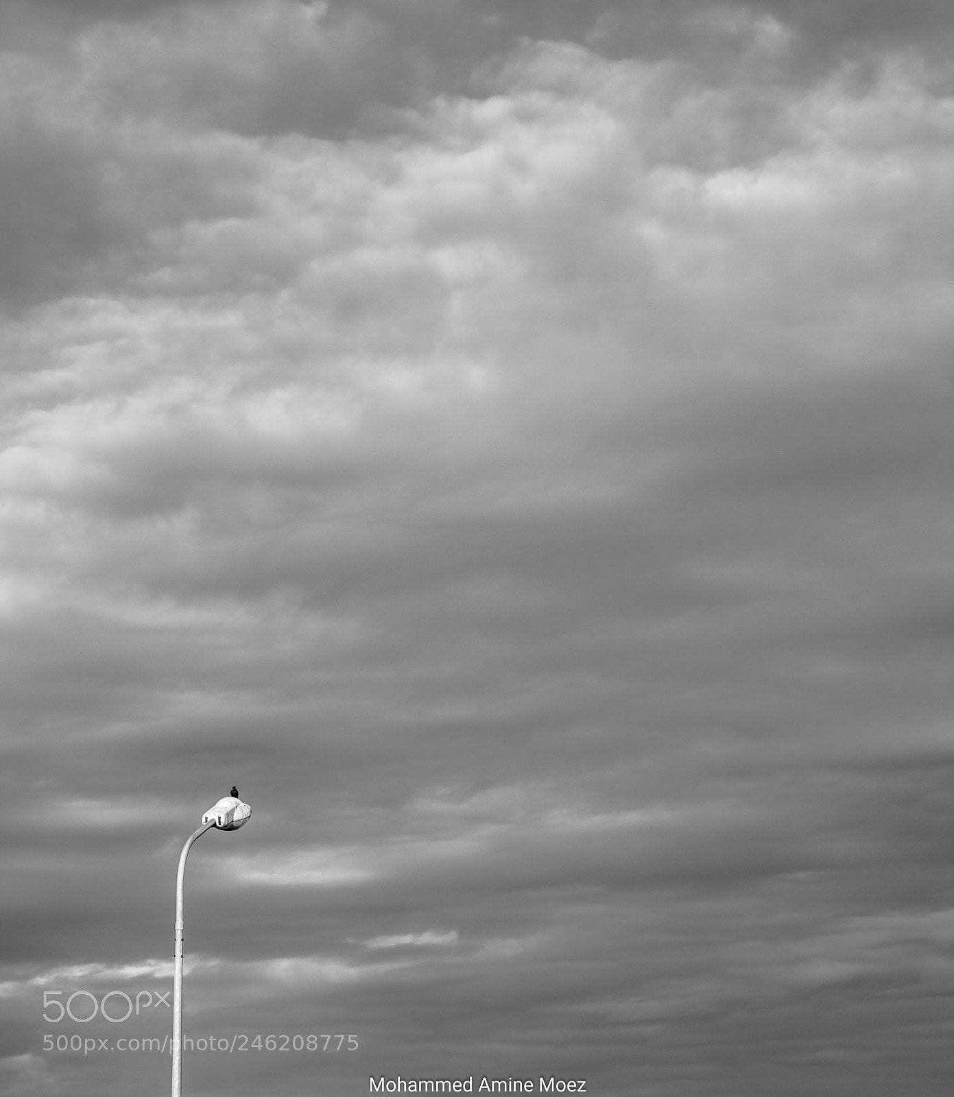 Canon EOS 60D sample photo. One last stand... photography