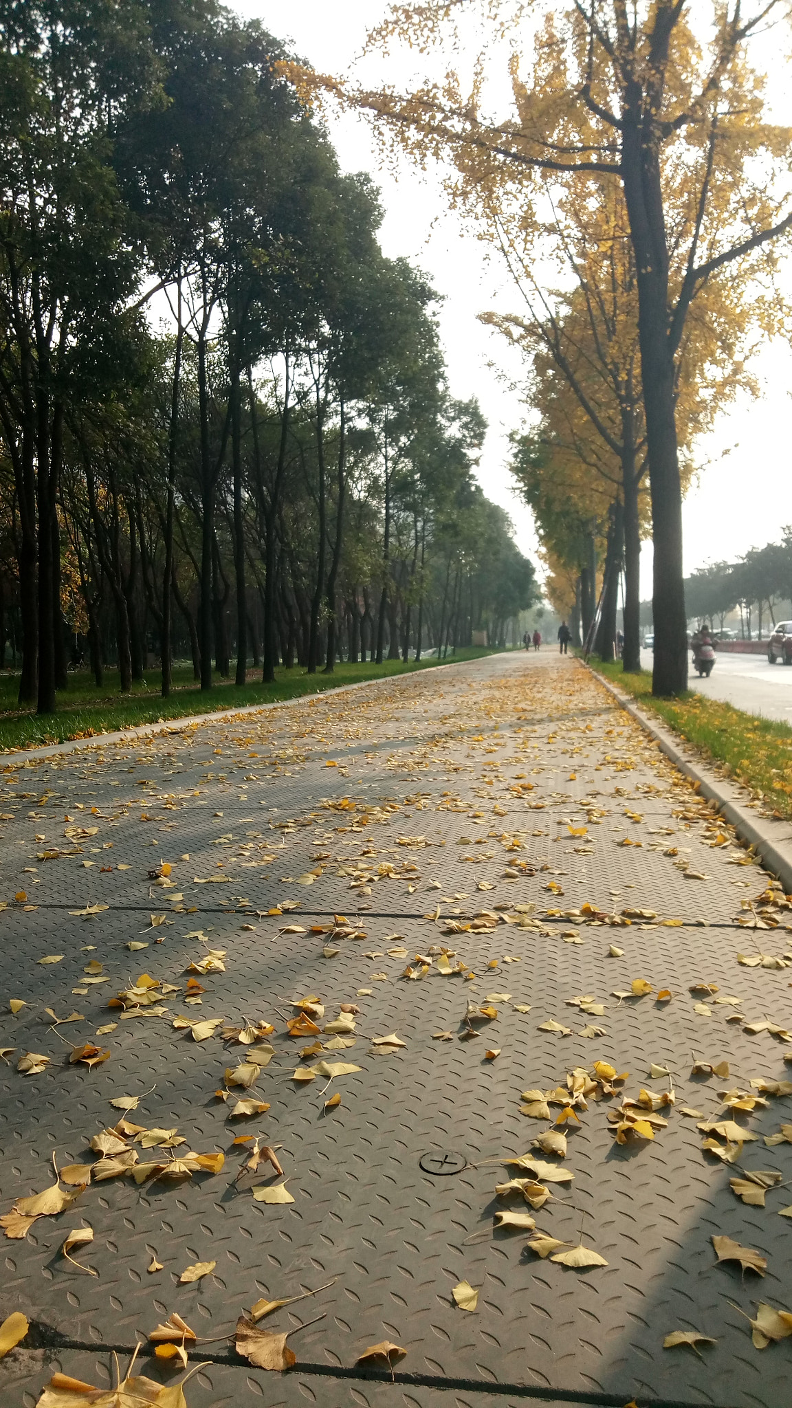 Meizu M1 E sample photo