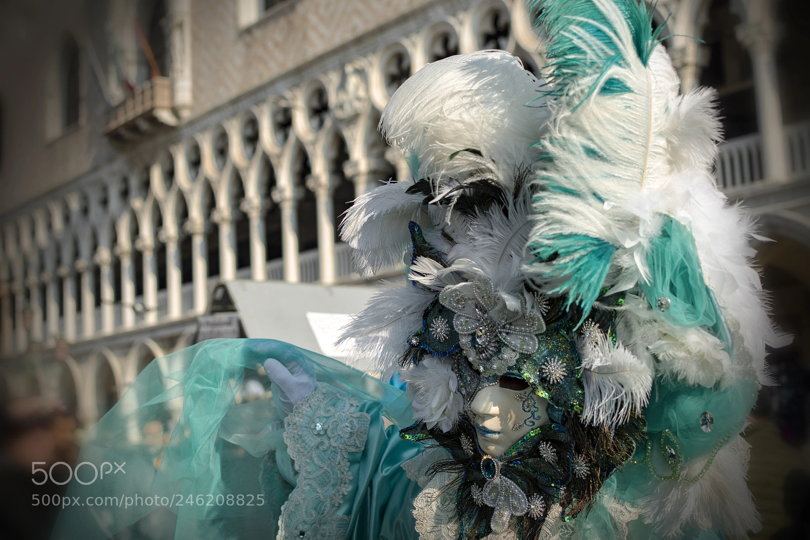 Nikon D5500 sample photo. Carnival mask. photography
