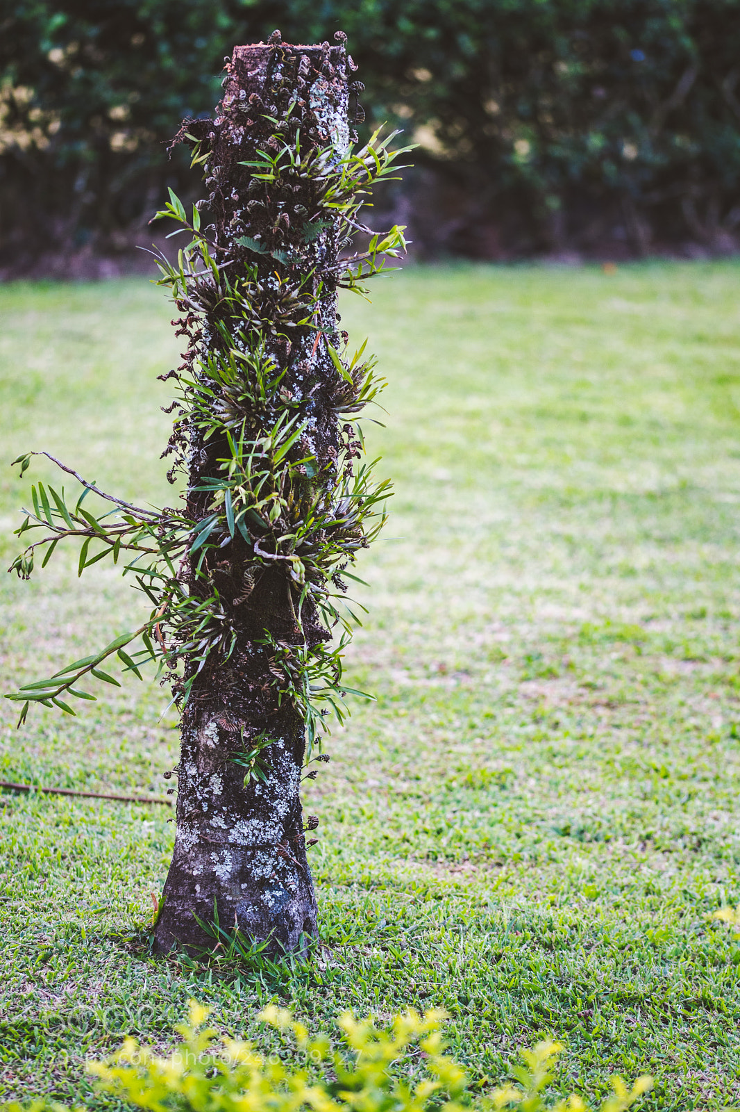 Nikon D500 sample photo. Detalles photography