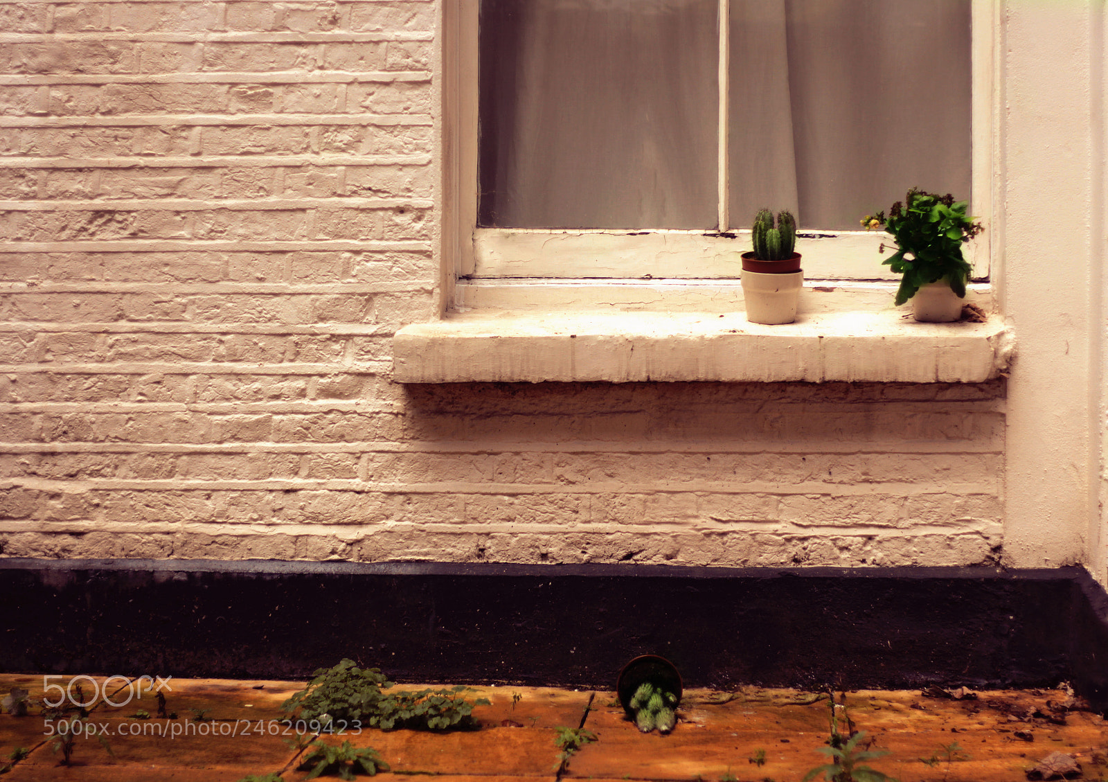 Canon EOS 650D (EOS Rebel T4i / EOS Kiss X6i) sample photo. Ordinary imperfection photography