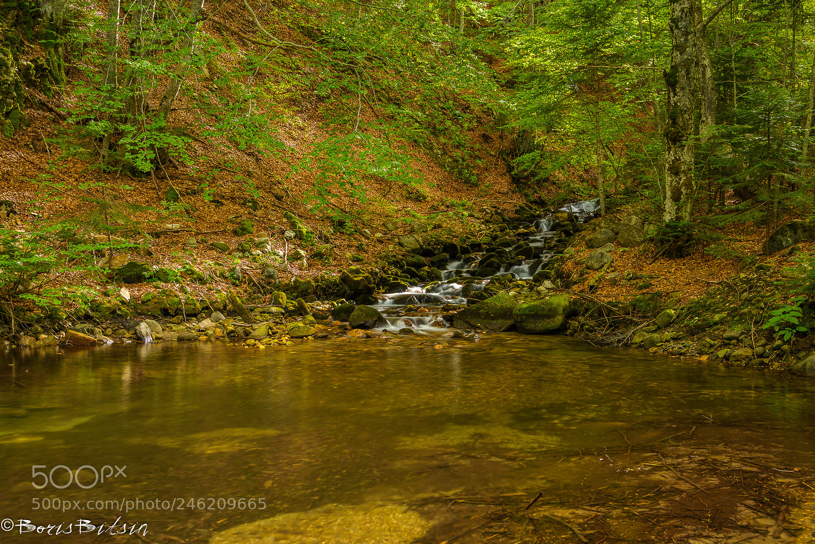 Nikon D7200 sample photo. Calmness photography