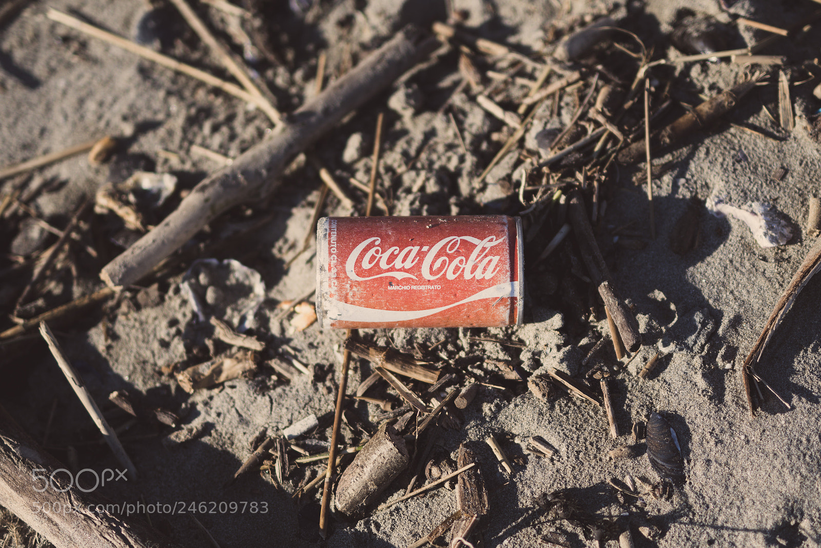 Nikon D500 sample photo. Garbage on sand photography
