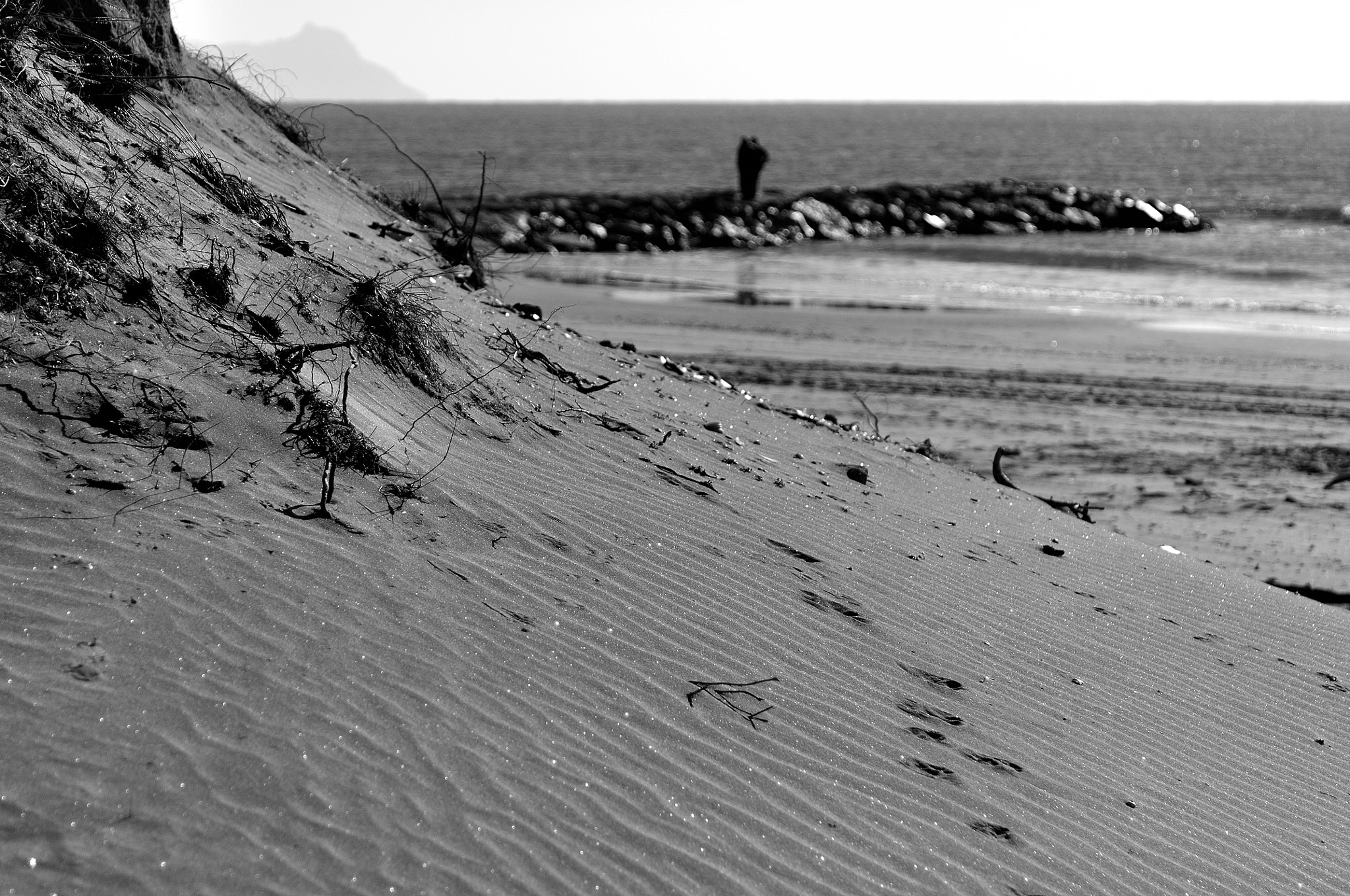 Nikon D90 sample photo. Winter photography