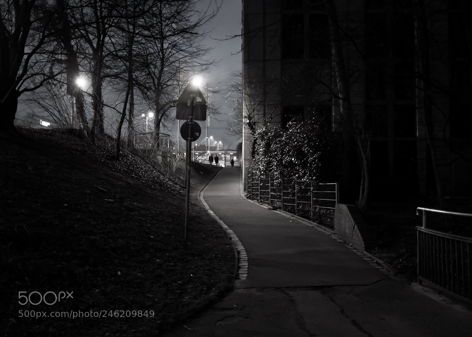 Fujifilm X100S sample photo. Cramer-klett-park // 6:45pm photography