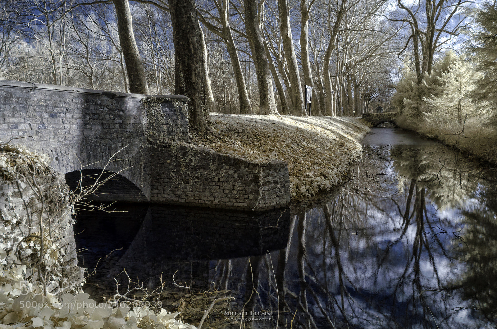 Nikon D5100 sample photo. Beside the castle photography