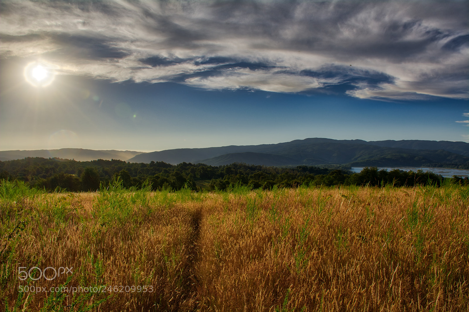 Nikon D5200 sample photo. Sunset on valdivia photography