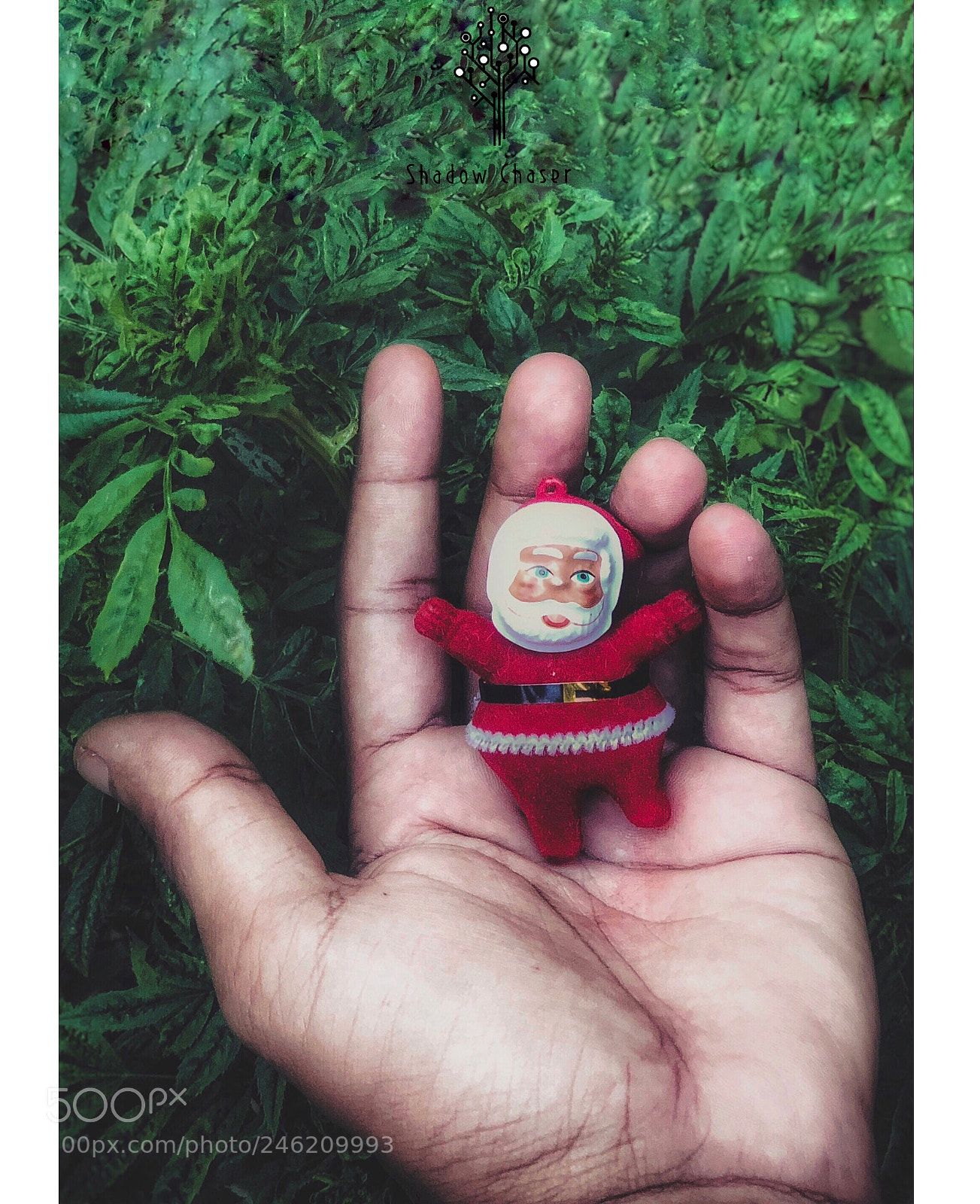 Apple iPhone X sample photo. Untitled photography
