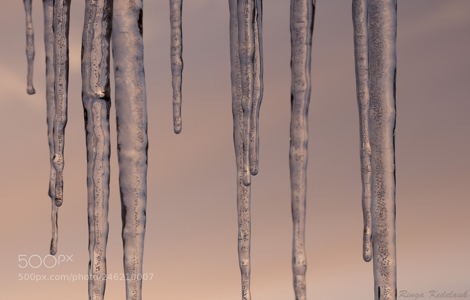 Nikon D80 sample photo. Icicle photography