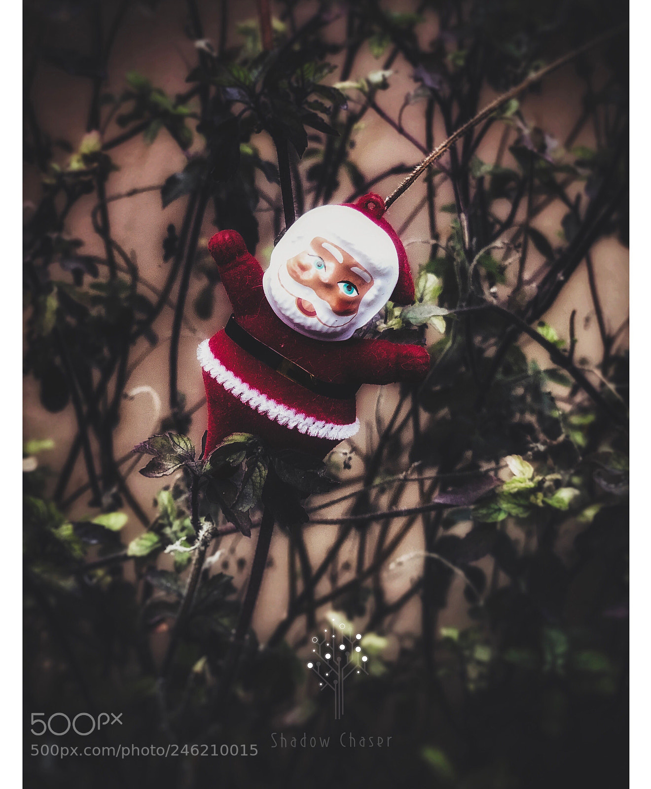 Apple iPhone X sample photo. Untitled photography