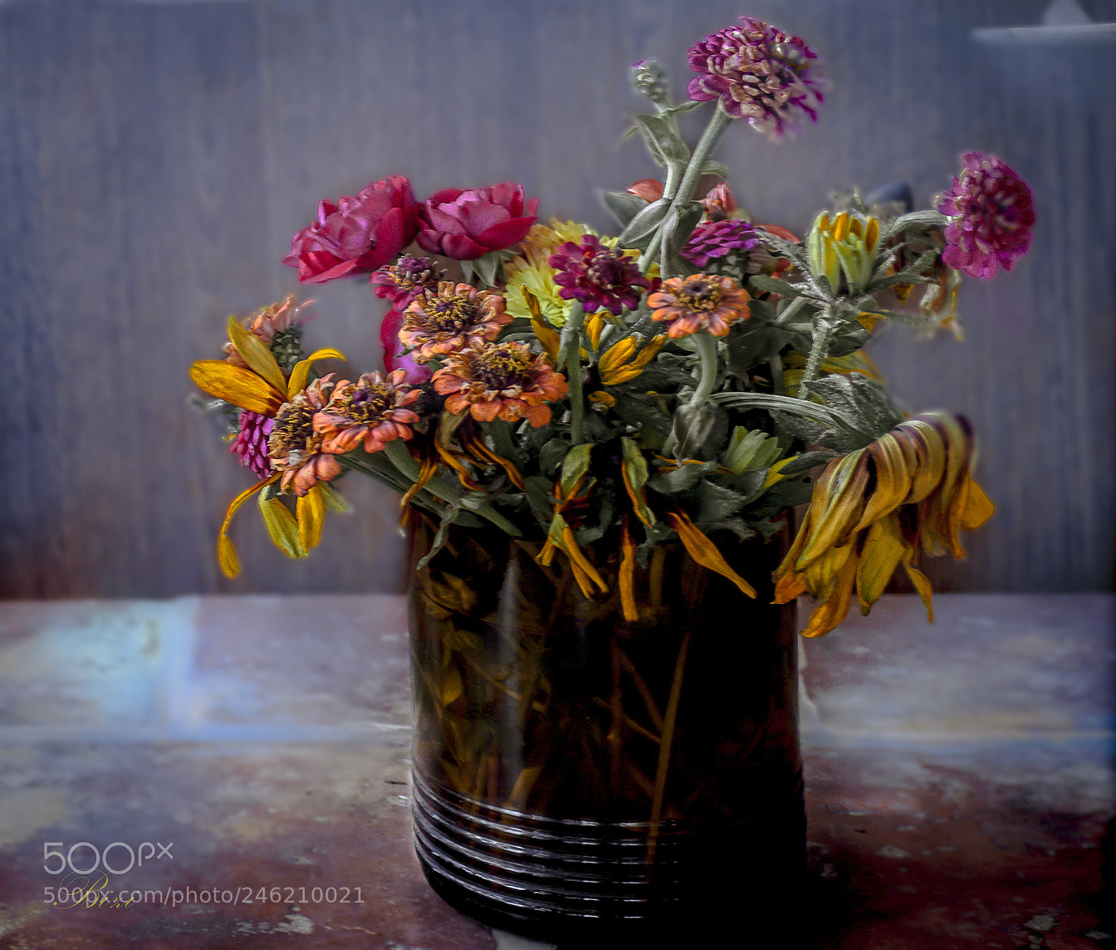 Sony Alpha DSLR-A350 sample photo. Still life 2 photography