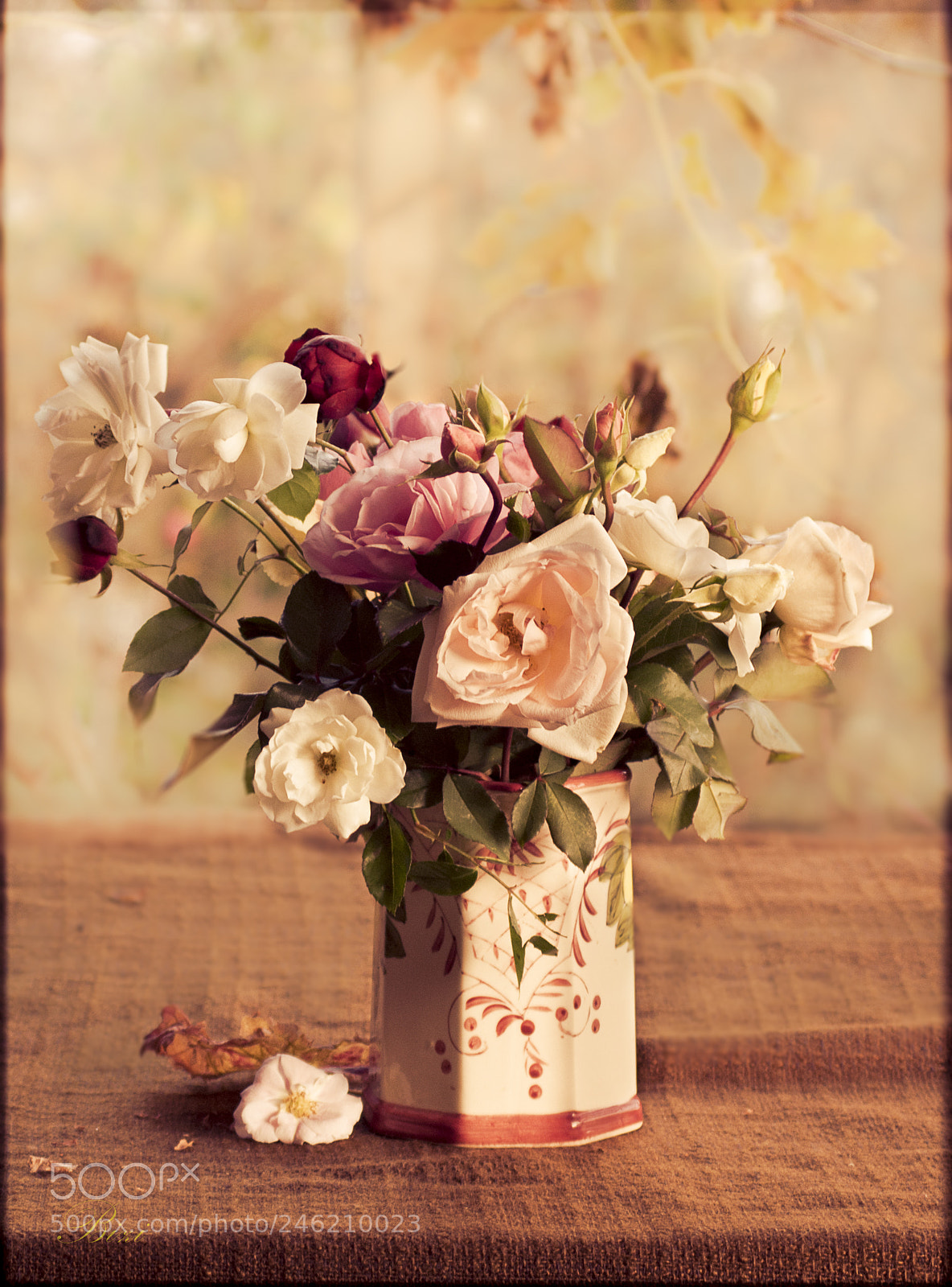 Sony Alpha DSLR-A350 sample photo. Roses in vase photography