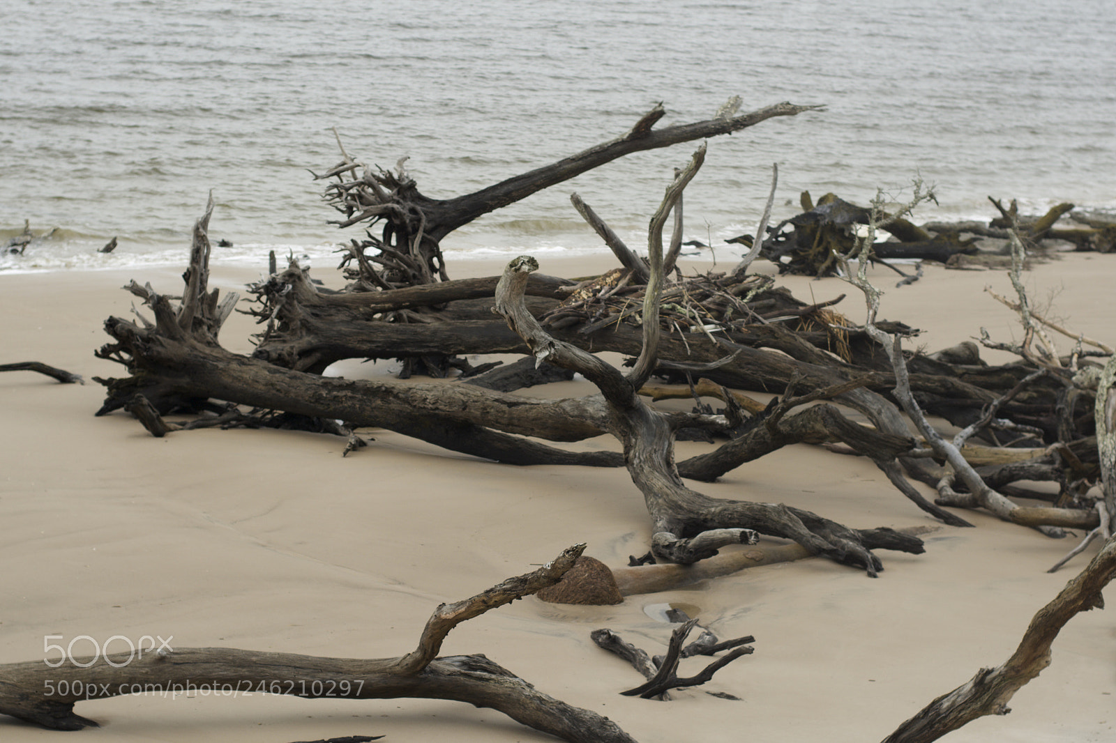 Nikon D7100 sample photo. More of that place....driftwood photography