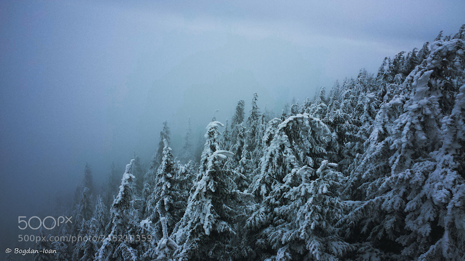 Samsung Galaxy S4 sample photo. Winter photography