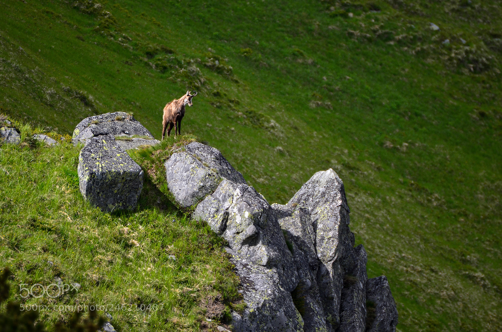 Nikon D5100 sample photo. Guardian of valley photography