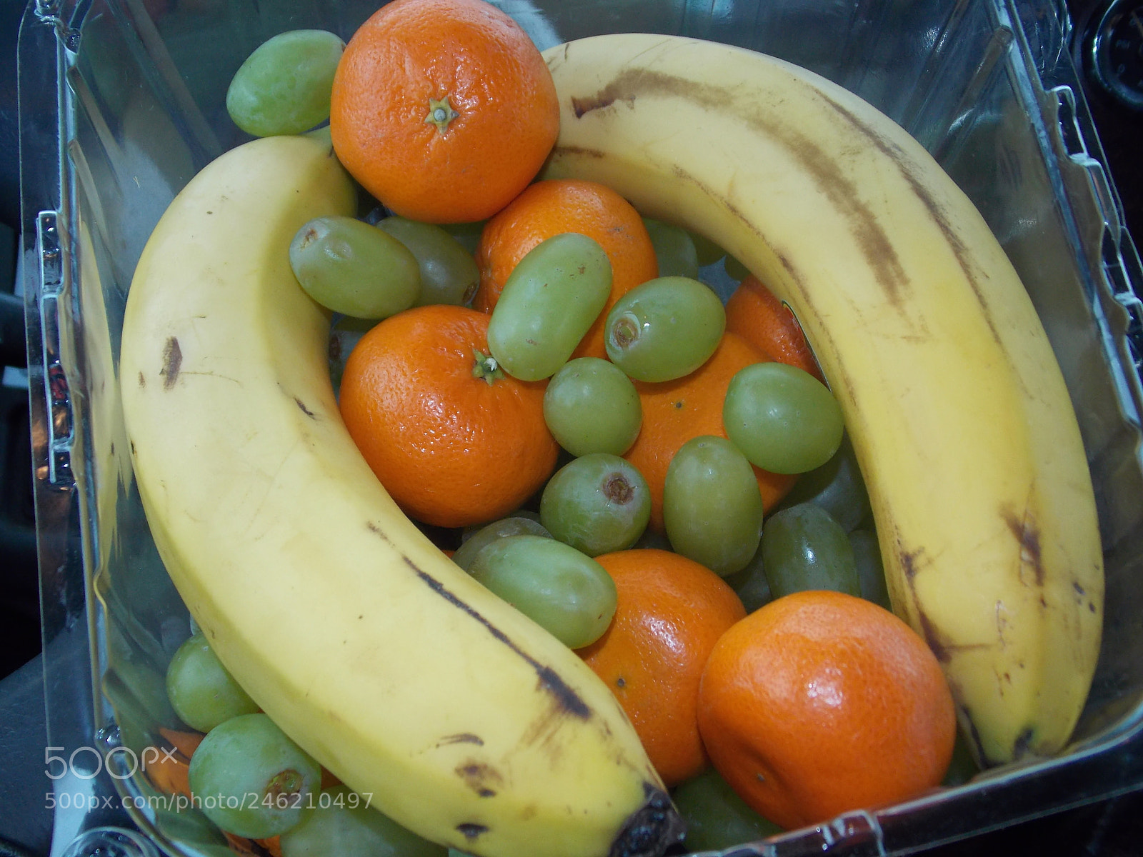 Nikon Coolpix L810 sample photo. The look of healthy photography