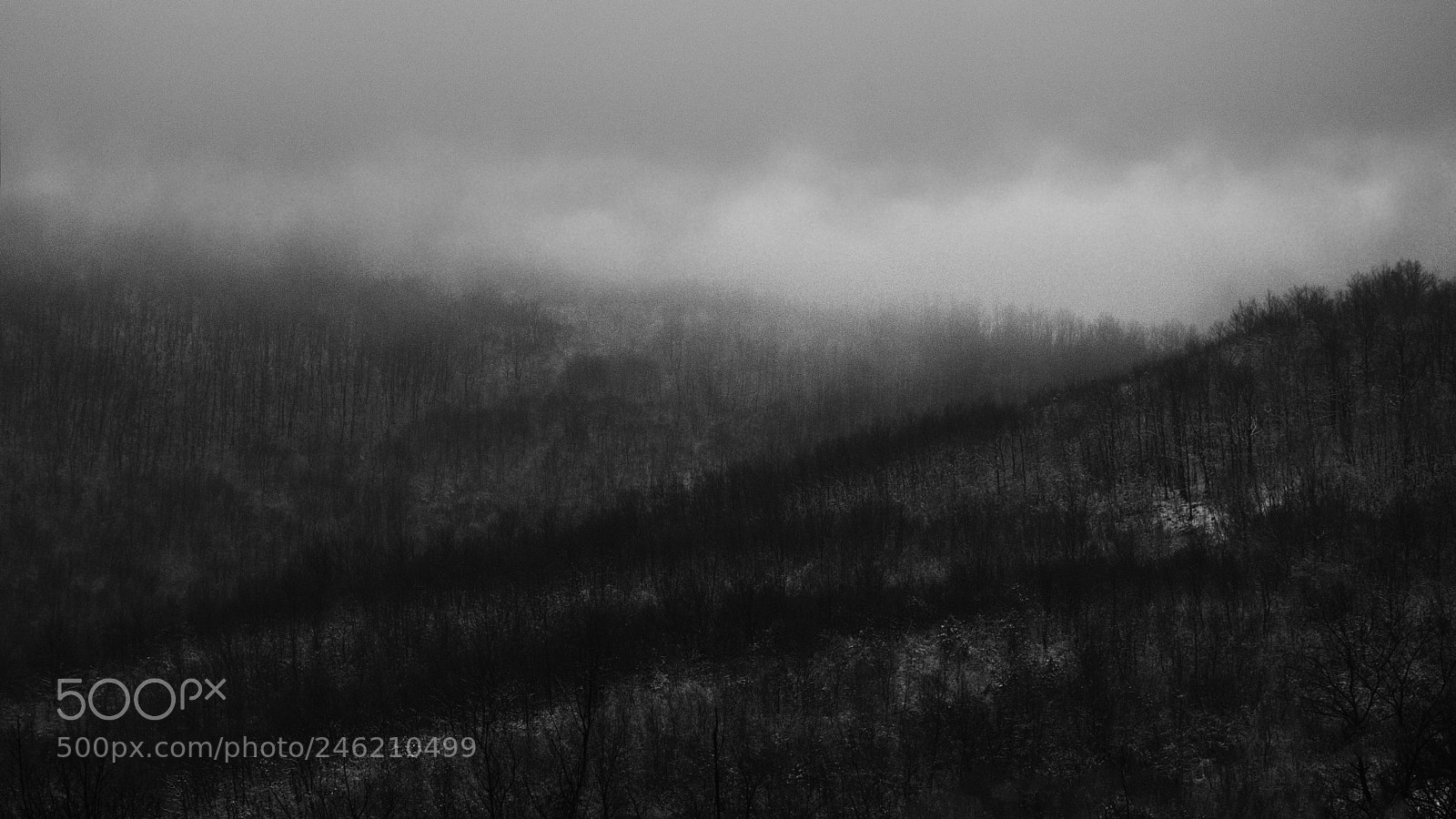 Nikon D3200 sample photo. Mist photography