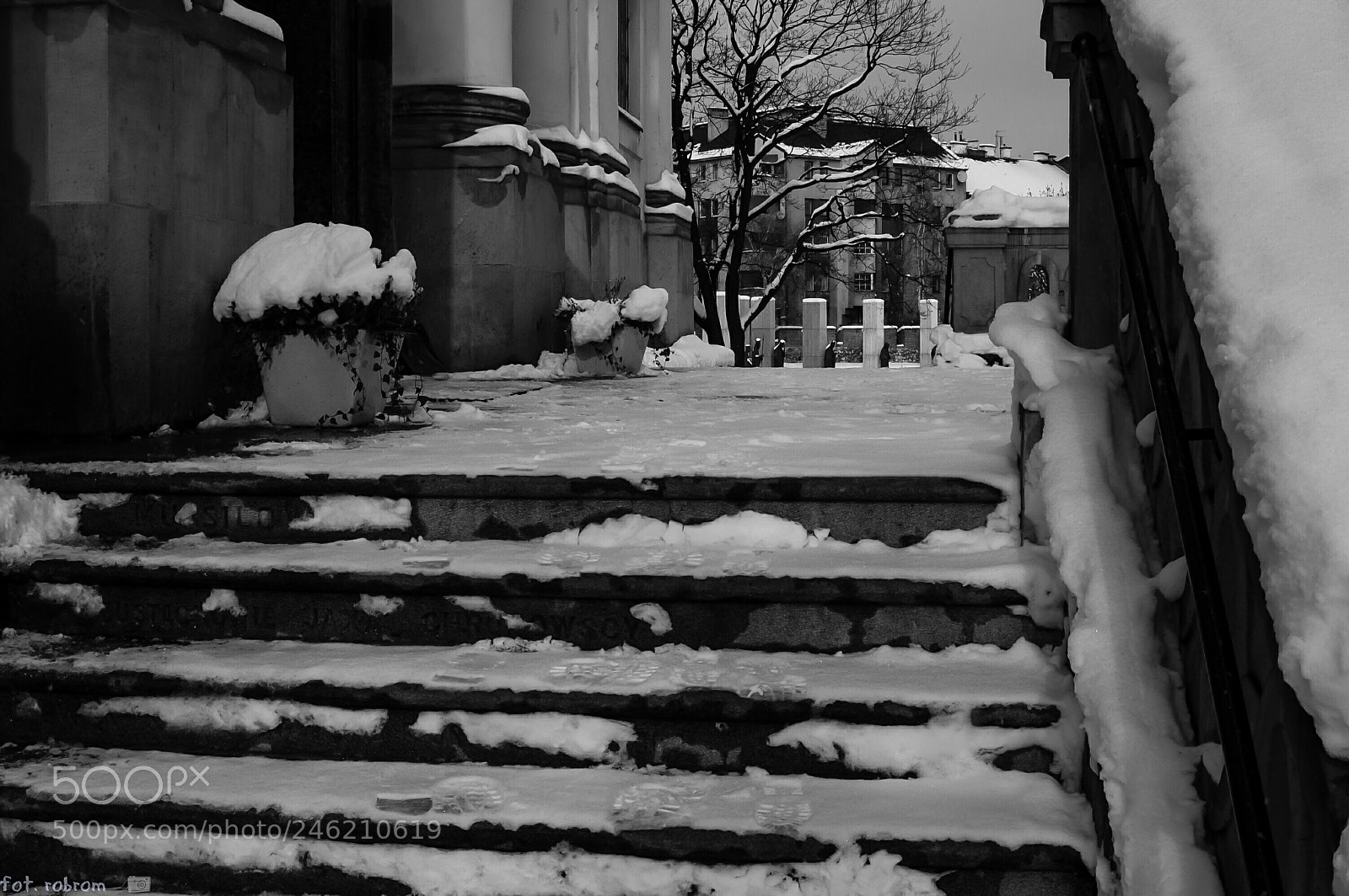 Nikon D50 sample photo. Winter photography