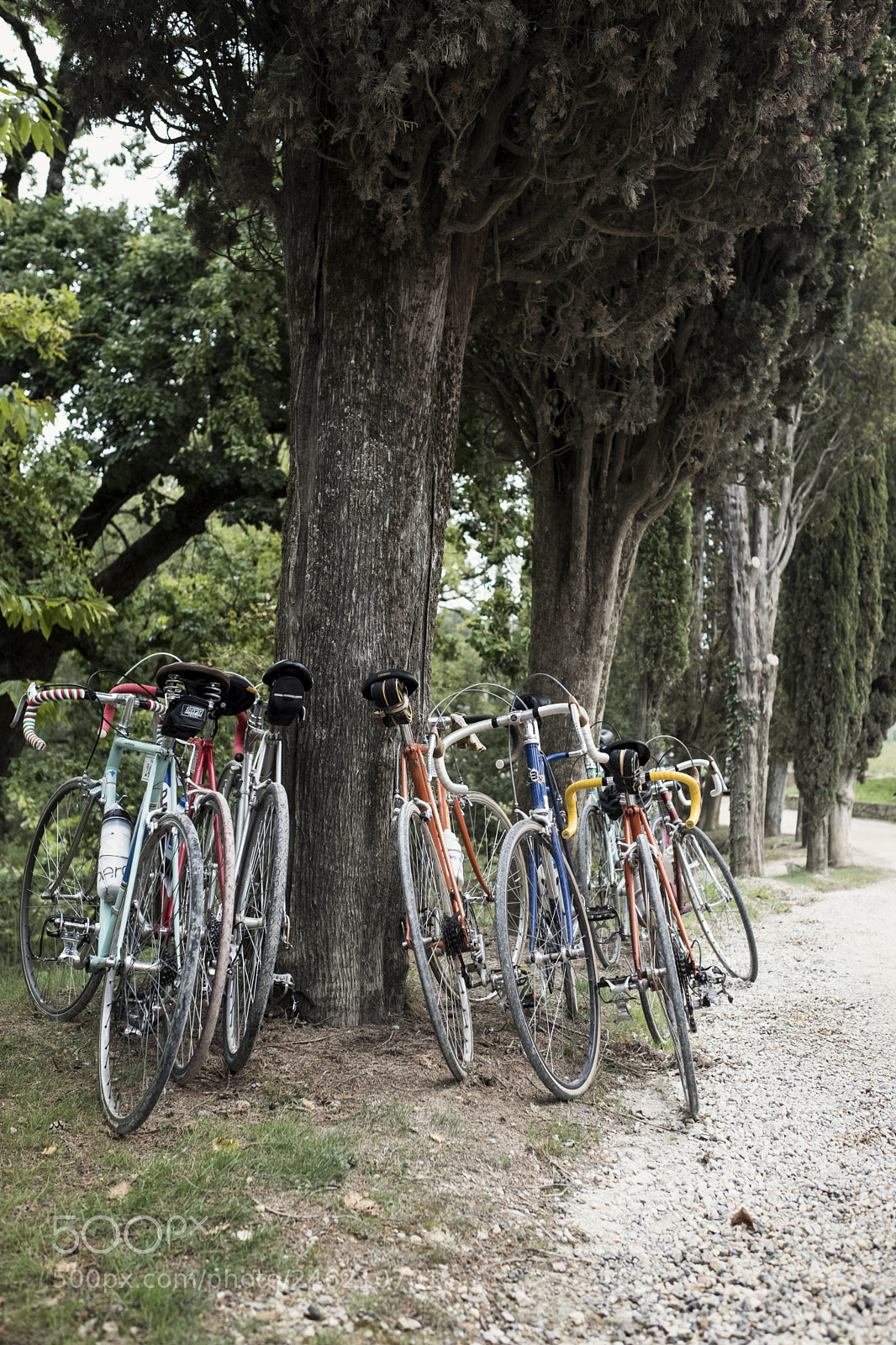 Fujifilm X-T2 sample photo. L'eroica 17 photography