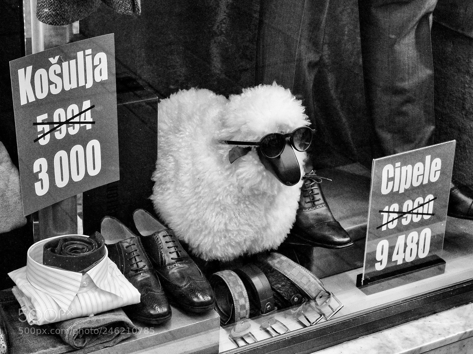 Canon EOS 700D (EOS Rebel T5i / EOS Kiss X7i) sample photo. Fashion sheep, belgrade 2018. photography